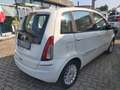 Lancia MUSA Musa II 2007 1.4 8v Gold c/c.traz.,esp ecochic Gpl Bianco - thumbnail 4