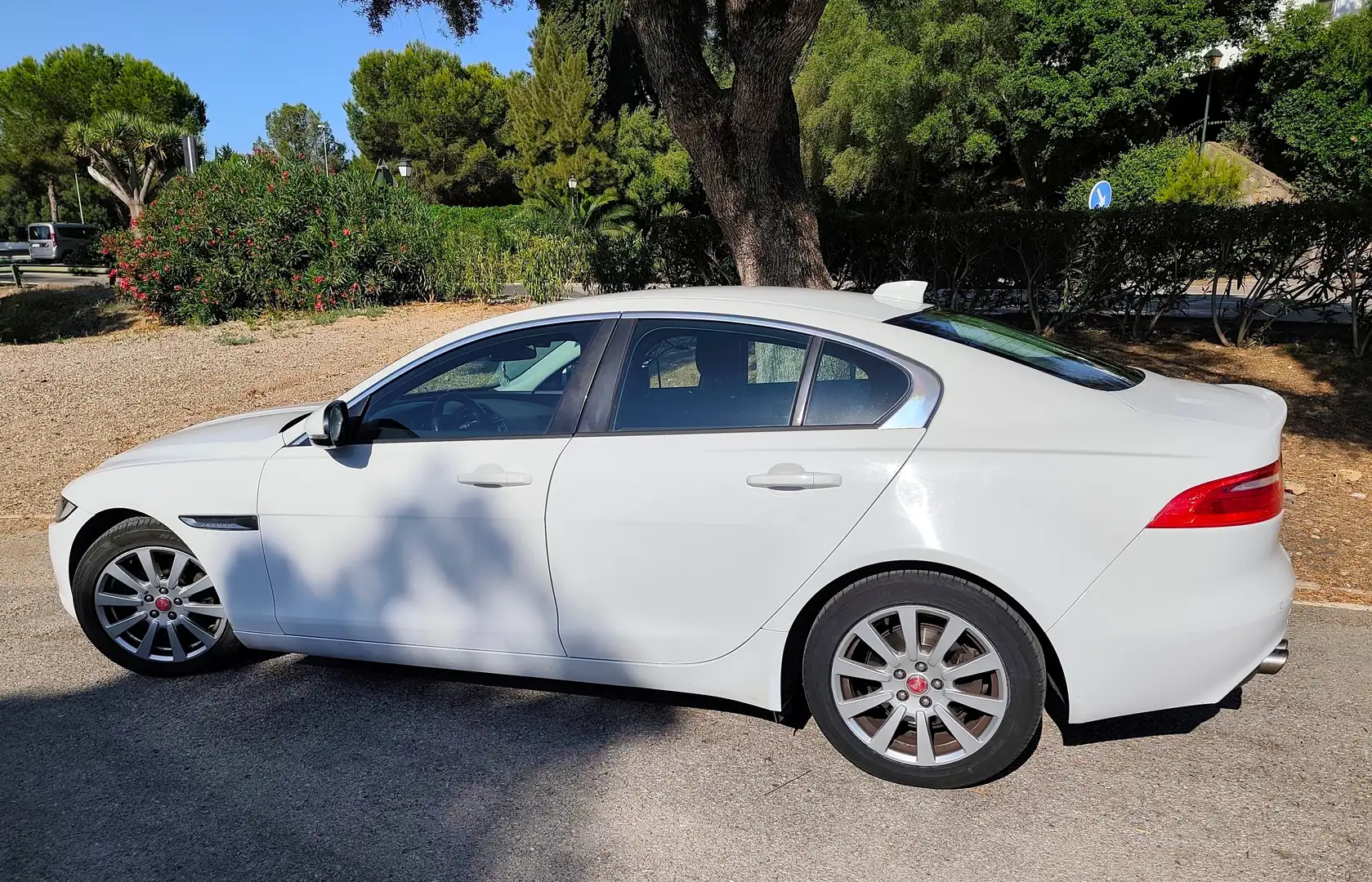 Jaguar XE XE 2.0 Diesel Pure 180 Pure Blanco - 1