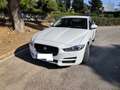 Jaguar XE XE 2.0 Diesel Pure 180 Pure Blanco - thumbnail 9
