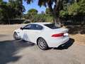 Jaguar XE XE 2.0 Diesel Pure 180 Pure Blanco - thumbnail 3