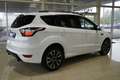 Ford Kuga ST-Line 2.0TDCi 180PS 4x4 Nav/Kamera/el.Klappe White - thumbnail 4