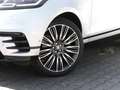 Land Rover Range Rover Velar VERKAUF NUR AN GEWERBEKUNDEN! Silver - thumbnail 8