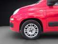 Fiat Panda 1.2 EasyPower Easy Rosso - thumbnail 11