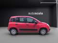 Fiat Panda 1.2 EasyPower Easy Rosso - thumbnail 7