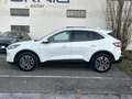 Ford Kuga TITANIUM 2.5 PHEV 225 PS CVT Weiß - thumbnail 4