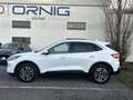 Ford Kuga TITANIUM 2.5 PHEV 225 PS CVT Weiß - thumbnail 3