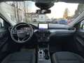 Ford Kuga TITANIUM 2.5 PHEV 225 PS CVT Weiß - thumbnail 9