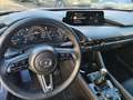 Mazda 3 Mazda3 e-Skyactiv-G140 2,5i 4-Zylinder Exclusiv... Rot - thumbnail 12