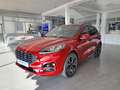 Ford Puma NUEVO  ST LINE X 1.0 EcoBoost mHEV 125cv S6.2 - thumbnail 14