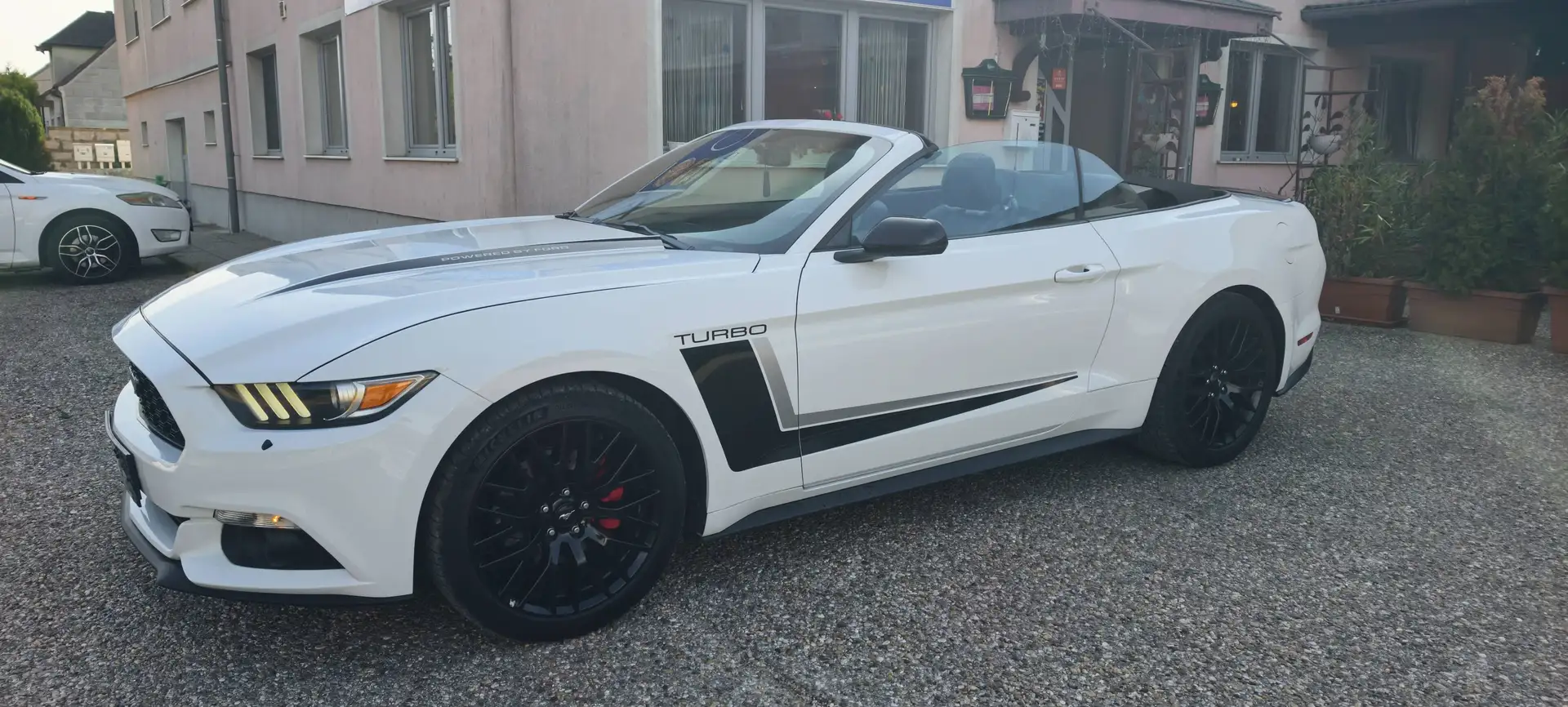 Ford Mustang Basis Convertible Weiß - 1