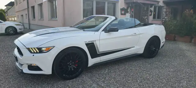 Ford Mustang Basis Convertible