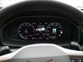 CUPRA Formentor 2.0 TSI VZ 4Drive ACC LED COPPER Schwarz - thumbnail 14