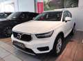Volvo XC40 (2017-->) - XC40 B4 AWD AUTOMATICO MOMENTUM Bianco - thumbnail 2