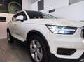Volvo XC40 (2017-->) - XC40 B4 AWD AUTOMATICO MOMENTUM Bianco - thumbnail 3