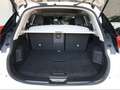 Nissan X-Trail 1.6 dCi Tekna 4x4-i Blanco - thumbnail 28