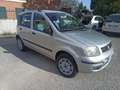 Fiat Panda 1.2 natural power Dynamic Mamy - thumbnail 1