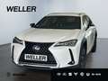 Lexus UX 250h Style Edition *Bi-LED*ACC*CAM*SHZ*CarPlay* Weiß - thumbnail 1