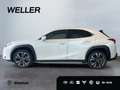 Lexus UX 250h Style Edition *Bi-LED*ACC*CAM*SHZ*CarPlay* Weiß - thumbnail 5