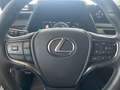 Lexus UX 250h Style Edition *Bi-LED*ACC*CAM*SHZ*CarPlay* Weiß - thumbnail 13