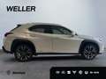 Lexus UX 250h Style Edition *Bi-LED*ACC*CAM*SHZ*CarPlay* Weiß - thumbnail 9