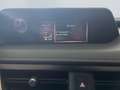 Lexus UX 250h Style Edition *Bi-LED*ACC*CAM*SHZ*CarPlay* Weiß - thumbnail 15