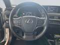 Lexus UX 250h Style Edition *Bi-LED*ACC*CAM*SHZ*CarPlay* Weiß - thumbnail 12