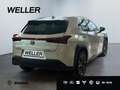 Lexus UX 250h Style Edition *Bi-LED*ACC*CAM*SHZ*CarPlay* Weiß - thumbnail 18
