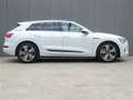 Audi e-tron e-tron 55 quattro advanced 95 kWh * PANORAMADAK * White - thumbnail 13