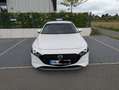 Mazda 3 SKYACTIV-G 2.0 M-Hybrid 150 SELECTION-TÜV neu - thumbnail 2