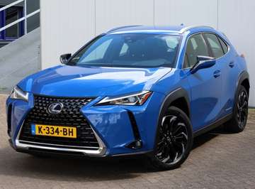 RX 300 300e Business 54 kWh