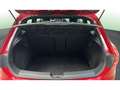SEAT Leon 2.0 TSI S&S Cupra 300 Rojo - thumbnail 14