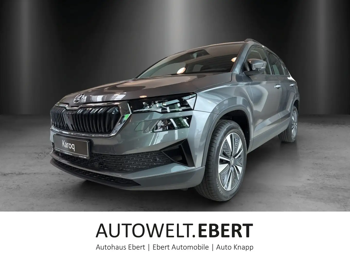 Skoda Karoq Tour 1,5 TSI 110 kW DSG Grau - 1