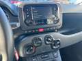 Fiat Panda Panda 1.0 FireFly S&S Hybrid - thumbnail 15