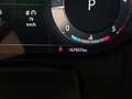 Land Rover Range Rover Sport Range Rover Sport 3.0D l6 249 CV Dynamic SE - IVA Nero - thumbnail 29