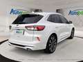 Ford Kuga Vignale Plug-In Hybrid Weiß - thumbnail 8