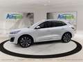 Ford Kuga Vignale Plug-In Hybrid Weiß - thumbnail 5