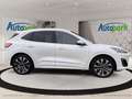 Ford Kuga Vignale Plug-In Hybrid Weiß - thumbnail 4