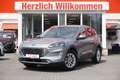 Ford Kuga 2.0 EcoBlue Titanium Aut.AWD Navi ACC DAB Silber - thumbnail 2
