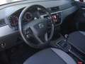 SEAT Ibiza 1.0 TSI S&S Xcellence 95 Fioletowy - thumbnail 10