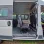 Peugeot Boxer Mini bus Bianco - thumbnail 4