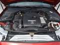 Mercedes-Benz C 180 AMG NIGHT M-BEAM MEMORY 360° AMBIENTE TOTW Rot - thumbnail 30
