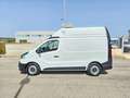 Renault Trafic T29 1.6 dCi 145CV S&S PC-TA FRIGO 0° ATP Bianco - thumbnail 8