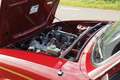 Triumph Dolomite Dolomite HL Rot - thumbnail 18