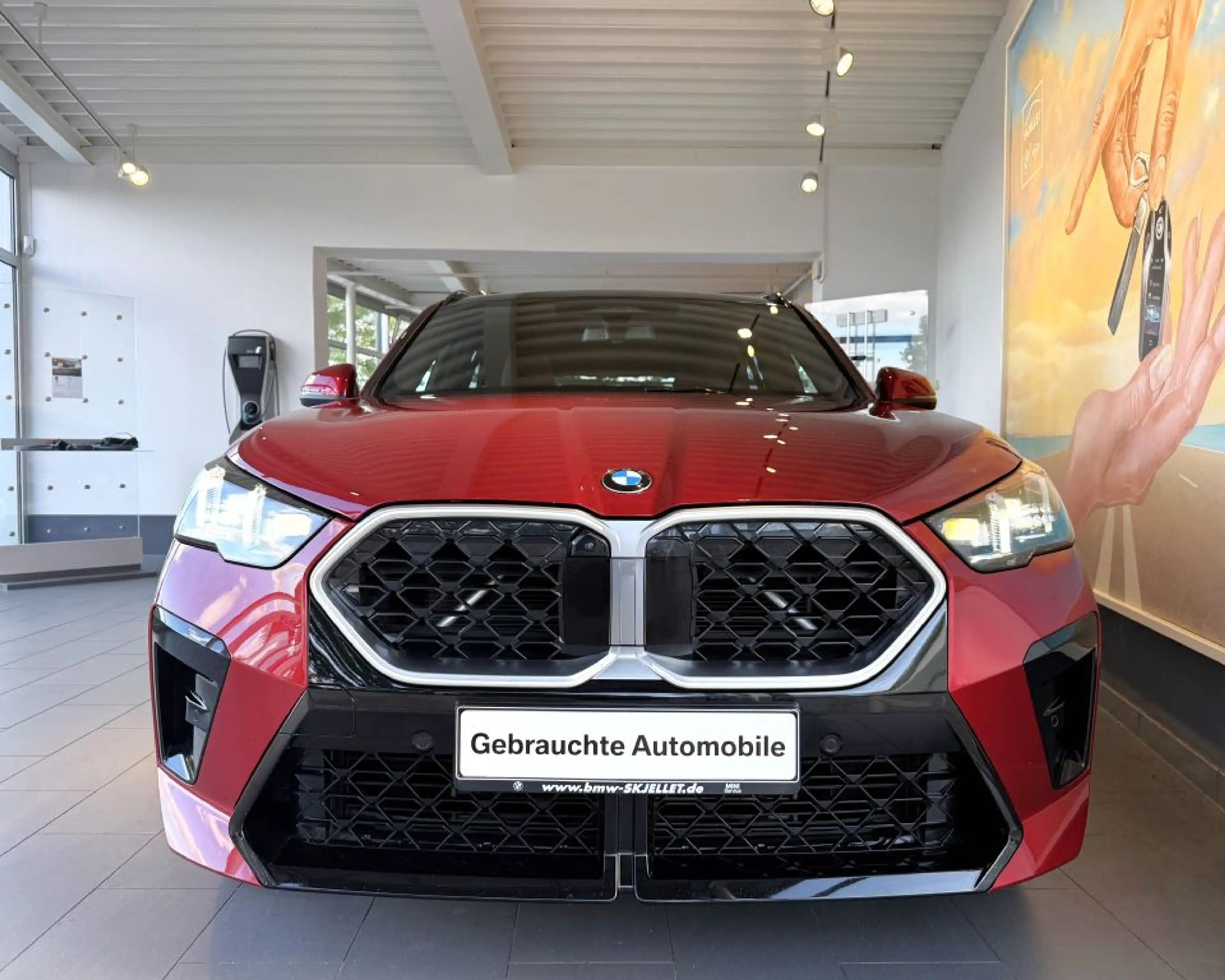 BMW X2 xDr.20d M SPORT ACC+PANO+AHK+HUD+HARM+KAM+KOM — photo 11