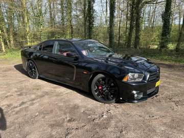 Srt8