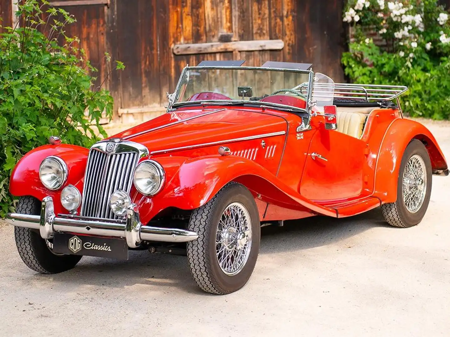 MG TF MG 1250 - Restaurierter Zustand! Gut dokumentiert! Rot - 1