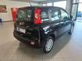 Fiat Panda Panda III 2024 1.0 firefly hybrid s Schwarz - thumbnail 5