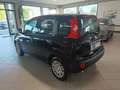 Fiat Panda Panda III 2024 1.0 firefly hybrid s Schwarz - thumbnail 7