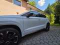 CUPRA Ateca Ateca 2,0 TSI 4Drive DSG 190, Automatik Weiß - thumbnail 7