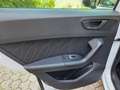CUPRA Ateca Ateca 2,0 TSI 4Drive DSG 190, Automatik Weiß - thumbnail 15